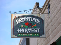 Click to enlarge image harvest